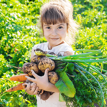 A girl holding fresh vegetables from the garden.